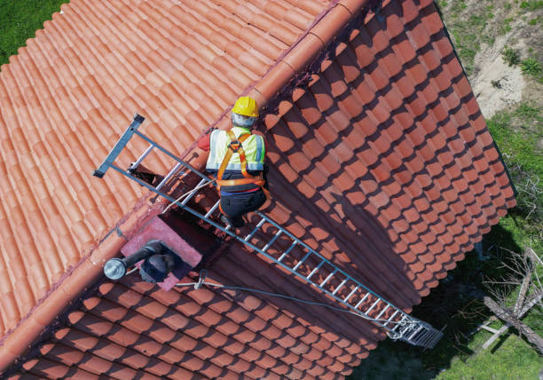 Best Storm Damage Roof Repair  in Mendon, UT